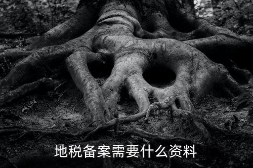 國(guó)地稅備案需要什么資料，地稅備案需要什么資料