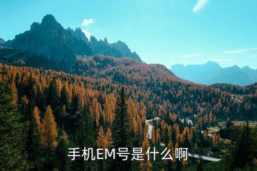 手機(jī)涉稅查詢(xún)是什么，手機(jī)按0000是什么意思