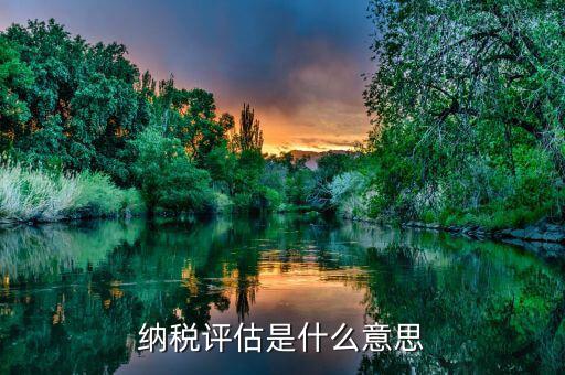 納稅評(píng)估是什么原因，納稅評(píng)估是什么意思