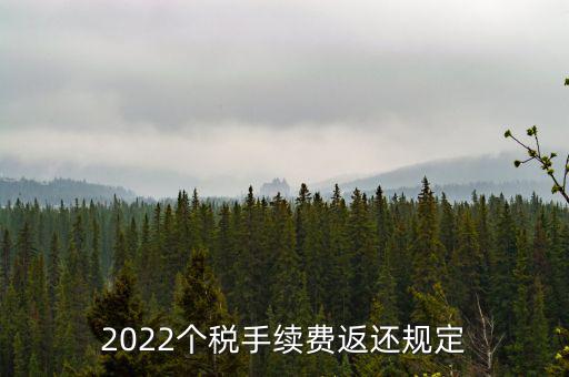 個稅返手續(xù)費什么時間，退個稅手續(xù)費2022年新規(guī)定