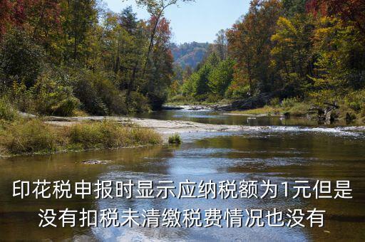 印花稅是1的時(shí)候?yàn)槭裁床豢劭?，印花稅申?bào)時(shí)顯示應(yīng)納稅額為1元但是沒(méi)有扣稅未清繳稅費(fèi)情況也沒(méi)有