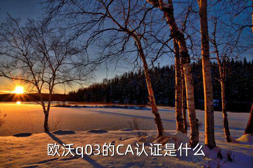 ca認(rèn)證密碼是什么情況，歐沃q03的CA認(rèn)證是什么