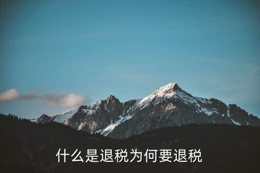 什么事退稅指標(biāo)，什么是退稅為何要退稅
