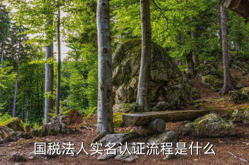 稅務(wù)實(shí)名認(rèn)證需要什么，在國稅局辦理實(shí)名認(rèn)證要準(zhǔn)備哪些資料
