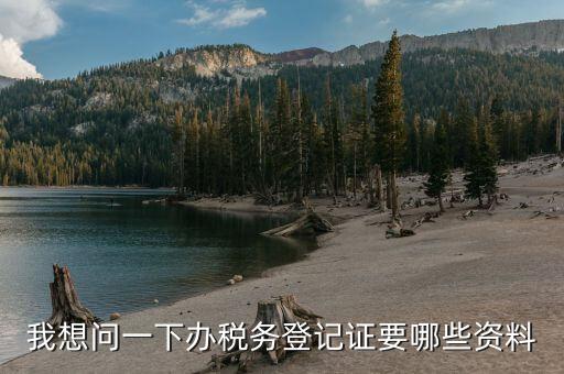 辦理稅務(wù)登記都問什么，我想問一下做稅務(wù)登記需要什么