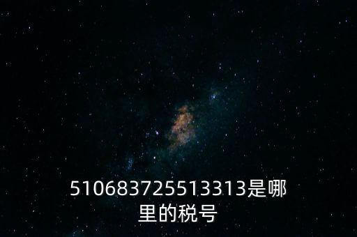 陜西省地方的稅號開頭是什么，510683725513313是哪里的稅號