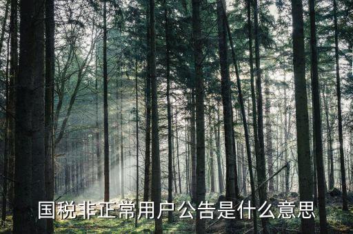 稅務(wù)局非正常用戶認(rèn)定什么意思，稅務(wù)機(jī)關(guān)認(rèn)定的黑戶與非正常戶的區(qū)別