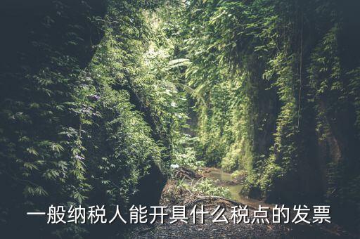 一般納稅人領(lǐng)什么發(fā)票，一般納稅人企業(yè)能開具和使用什么類型的發(fā)票
