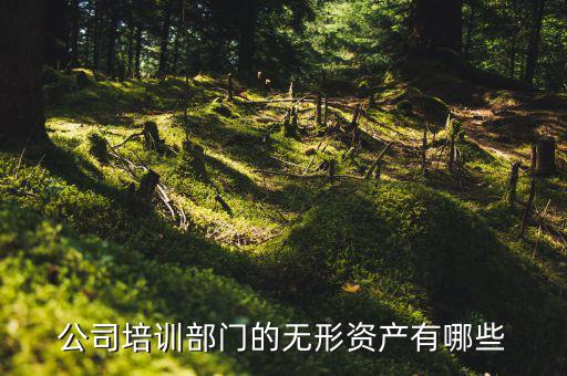 其他權(quán)益性無形資產(chǎn)是什么，無形資產(chǎn)屬于什么科目