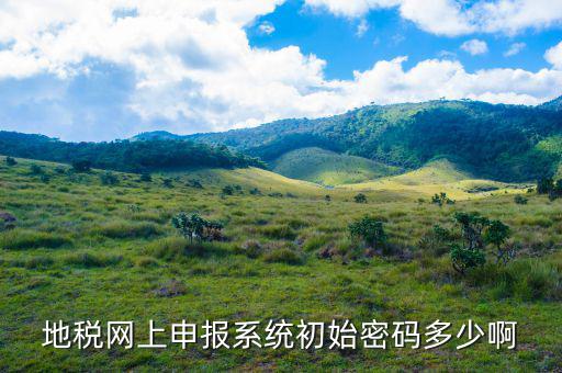 原江蘇地稅登陸初始密碼是什么，國家稅務(wù)總局網(wǎng)上辦稅服務(wù)廳初始密碼是什么
