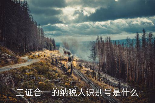 三證合一的稅號(hào)是什么，三證合一的納稅人識(shí)別號(hào)是什么