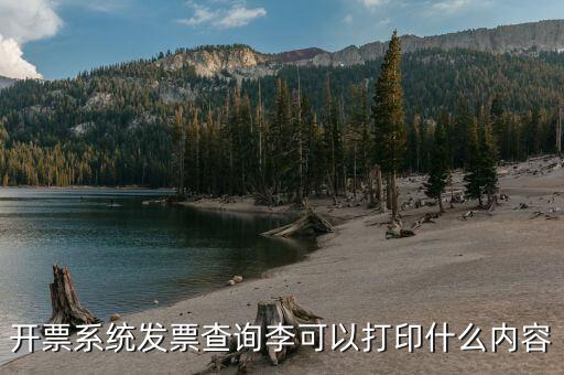 發(fā)票查詢什么內(nèi)容，通過發(fā)票可以查到買了什么東西嗎
