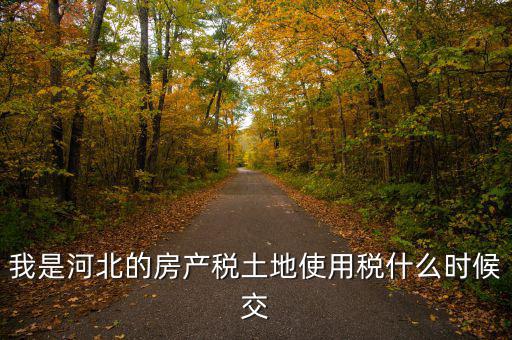 河北地稅申報后什么時候繳費，我是河北的房產(chǎn)稅土地使用稅什么時候交