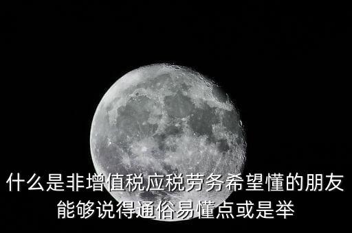 非增值稅應(yīng)稅勞務(wù)指什么，什么是非增值稅應(yīng)稅勞務(wù)希望懂的朋友能夠說得通俗易懂點(diǎn)或是舉
