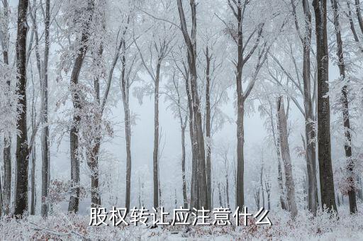 個(gè)人股權(quán)轉(zhuǎn)讓 出讓人應(yīng)注意什么，股權(quán)轉(zhuǎn)讓時(shí)應(yīng)該注意哪些問題