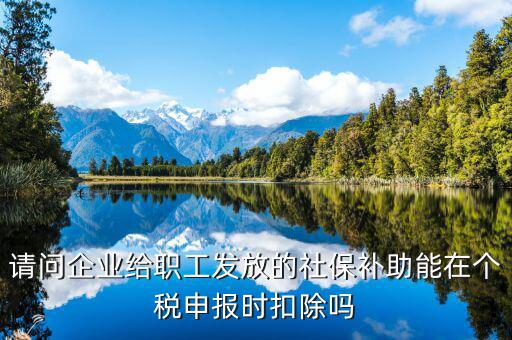請問企業(yè)給職工發(fā)放的社保補(bǔ)助能在個稅申報(bào)時扣除嗎