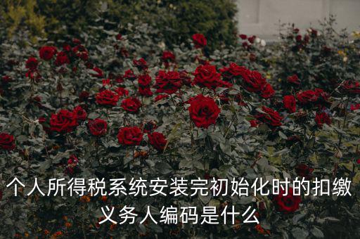 扣繳人義無(wú)編碼是什么，扣繳義務(wù)人編碼是什么
