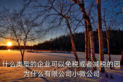 什么樣的企業(yè)可免稅，請(qǐng)問什么樣的公司可以得到免稅