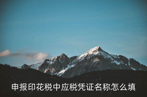 印花稅應(yīng)稅憑證名稱是什么，申報印花稅中應(yīng)稅憑證名稱怎么填