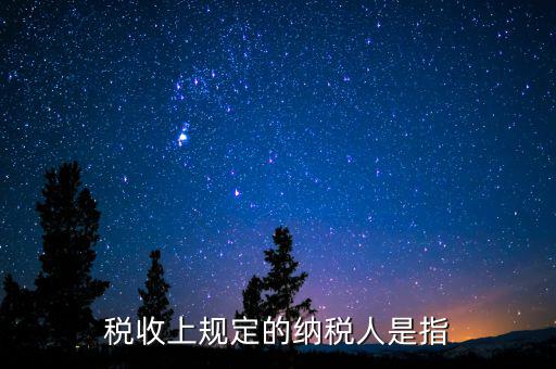 什么人是納稅人，納稅人的定義的什么