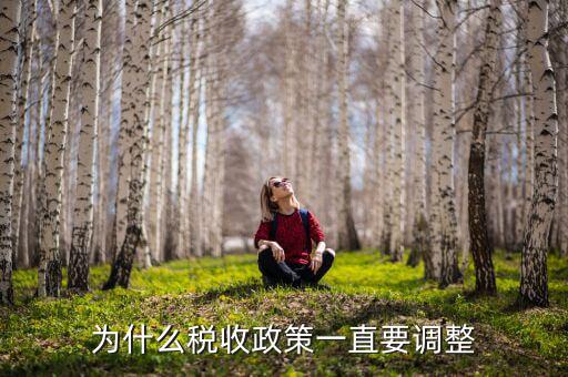 為什么進(jìn)行納稅調(diào)整，我國為什么要進(jìn)行個人所得稅調(diào)整高中政治