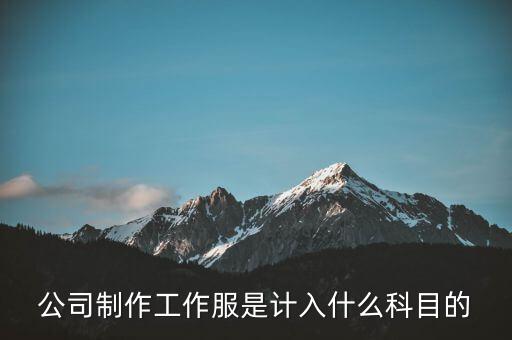 工作服屬于什么稅收分類編碼，稅控上商品和服務稅收分類編碼怎么填