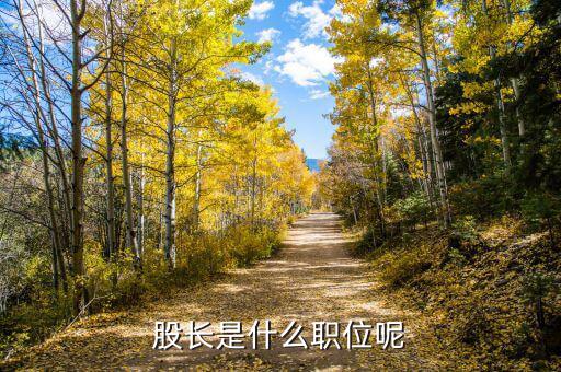 征管股股長是干什么的，稅務局 征收管理股股長 是個什么職務相當于什么