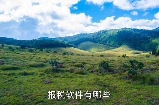 四川報(bào)稅軟件叫什么名字，網(wǎng)上報(bào)稅的那個(gè)軟件叫什么呀