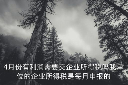 每年四月份要申報什么稅，我公司是一般納稅人四月份要申報兩個不同稅稅率的稅有一個可以