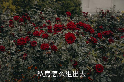 什么叫出租私房，私房怎么租出去