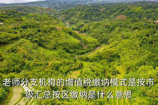 什么叫匯總繳納增值稅，老師分支機構的增值稅繳納模式是按市級匯總按區(qū)繳納是什么意思