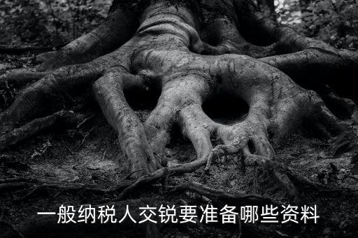 交稅需要什么資料，一般納稅人交銳要準(zhǔn)備哪些資料