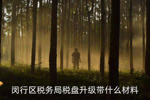 去升級(jí)稅控盤要帶什么，去國(guó)稅稅控盤升級(jí)需要帶哪些材料