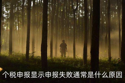 個稅申報系統(tǒng)為什么不能反饋，為什么個人所得稅申報以后反饋信息失敗