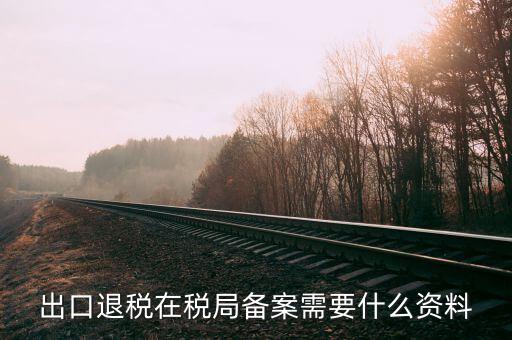 稅局備案準備什么資料，稅務局備案需提供什么資料