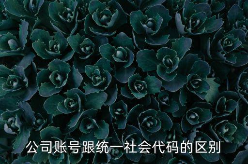 賬號上的統(tǒng)一社會代碼是什么意思，統(tǒng)一社會信用代碼有什么用