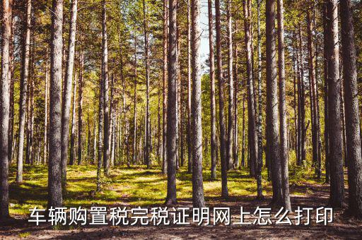 什么是購(gòu)置稅完稅證明，車輛購(gòu)置稅完稅證明是什么它在二手車交易中起什么作用
