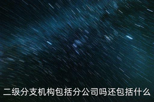 什么是二級分支機構(gòu)，現(xiàn)在分公司要辦稅務(wù)登記證但是我想問一下二級分機構(gòu)指的是