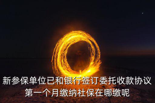 什么時(shí)候辦理授權(quán)劃繳協(xié)議，如何取得委托銀行劃轉(zhuǎn)地方稅費(fèi)授權(quán)書(shū)協(xié)議書(shū)去銀行還是去地稅