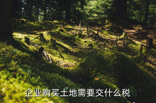 企業(yè)購(gòu)買(mǎi)土地需要交什么稅