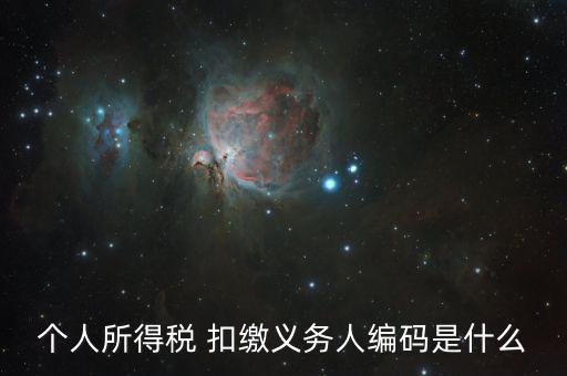 個(gè)稅稅種代碼是什么，個(gè)人所得稅編碼是多少怎樣填寫