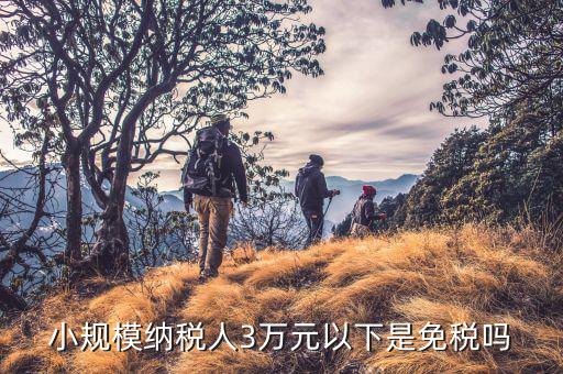 3萬以下免稅是什么意思，小規(guī)模納稅人3萬元以下是免稅嗎