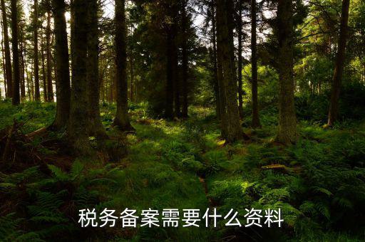 消費(fèi)稅免稅備案需要帶什么資料，理跨境服務(wù)免稅備案手續(xù)時(shí)需要提交哪些資料