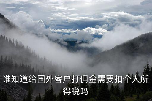 收到境外傭金交什么稅，關(guān)于國外支付國內(nèi)傭金方面的稅務(wù)問題