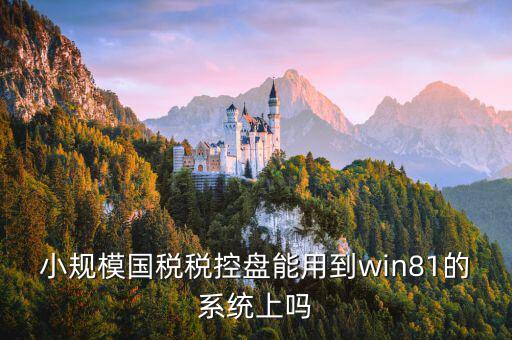 稅盤安裝支持什么系統(tǒng)下載，稅控發(fā)票開票軟件v2130170612能在win10上安裝嗎