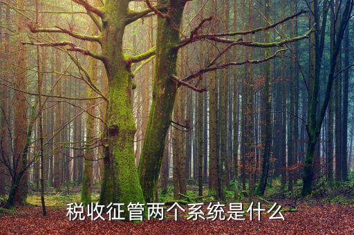 什么是稅收征管，什么是稅收征管工作的起點(diǎn)