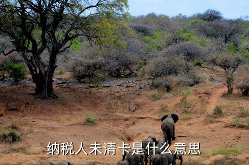 稅務(wù)未清分是什么意思，清稅證明已開但是工商系統(tǒng)一定顯示稅務(wù)未清理完成是怎么回事