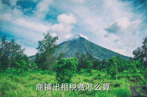 商鋪出租需要什么稅，出租商鋪的商業(yè)企業(yè)要繳納那些稅種