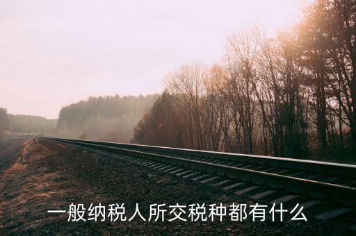 什么是納稅人稅種，一般納稅人所交稅種都有什么