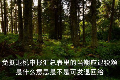 免抵退貨物應(yīng)退稅額是什么意思，免抵退應(yīng)退稅額是什么意思